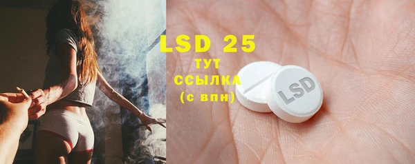 индика Бежецк