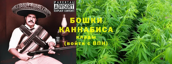 ГАЛЛЮЦИНОГЕННЫЕ ГРИБЫ Алексин