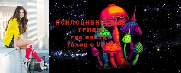 метадон Армянск
