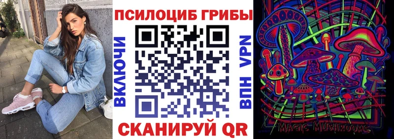 Псилоцибиновые грибы Psilocybe  Бахчисарай 